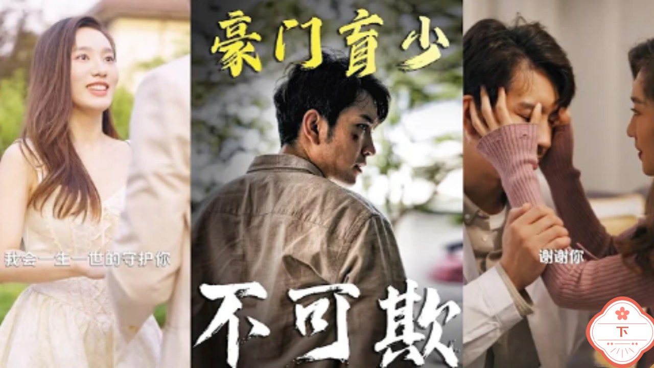 豪门盲少（下）