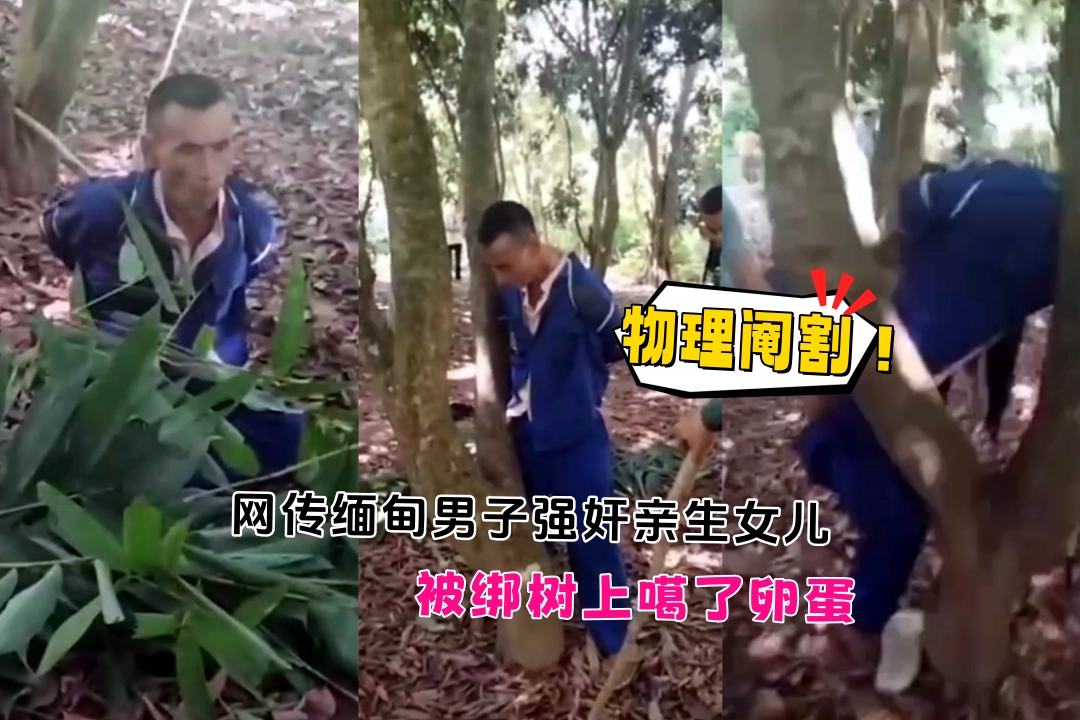 物理阉割！网传缅甸一男子强奸亲生女儿致其怀孕5个月 族人将男子绑树上噶了卵蛋