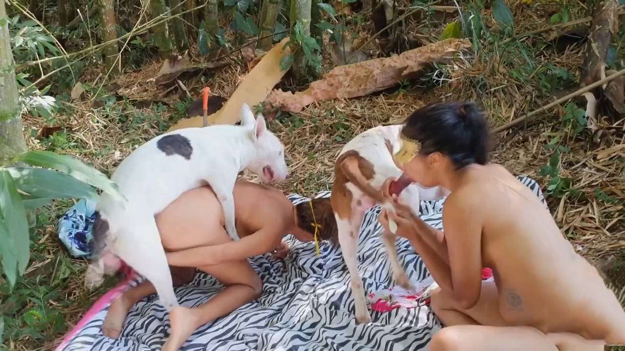 和闺蜜一起两条狗玩4p第一次见这么玩