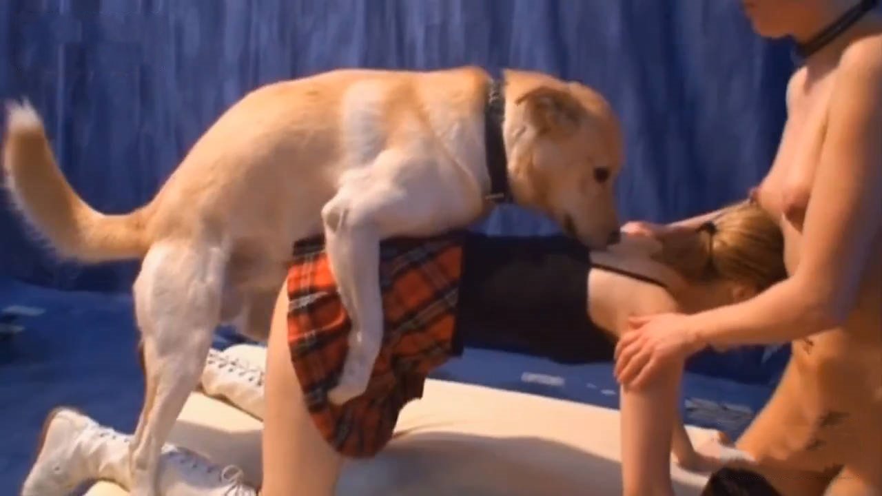 两女同做爱带狗子来参加